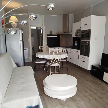 Agreable T2 Avec Loggia Proche Commerces Et - 4alb24 Saint-Cyprien (Pyrenees-Orientales)